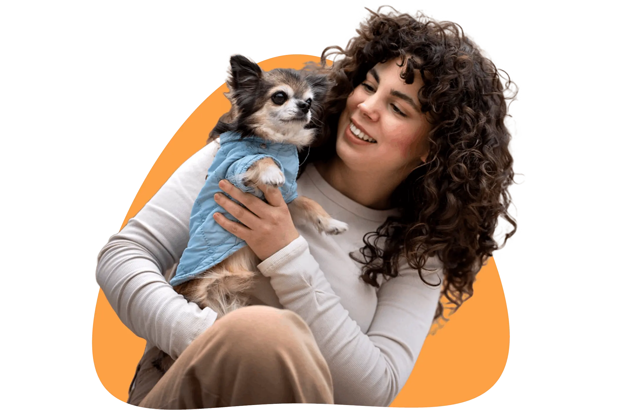 protect pet