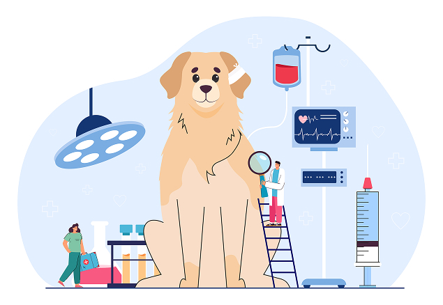 pet condition info